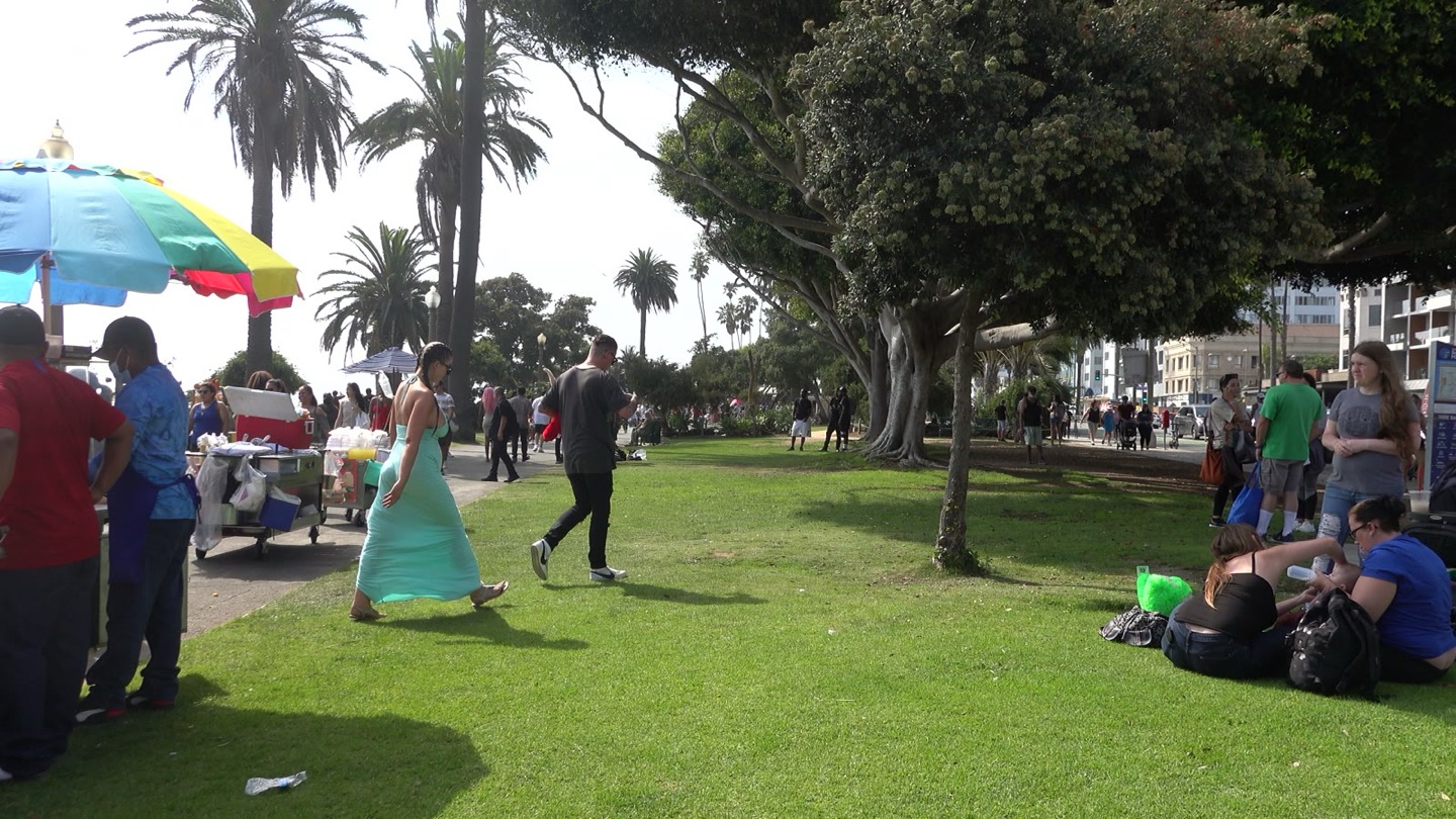 Palisades Park in Santa Monica, with grass, big shade trees, and food carts along the path