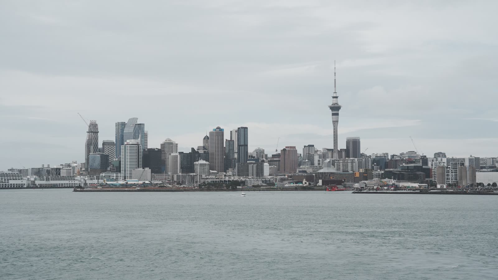 Auckland city skyline and Sky Tower seen across the harbour from Northcote Point